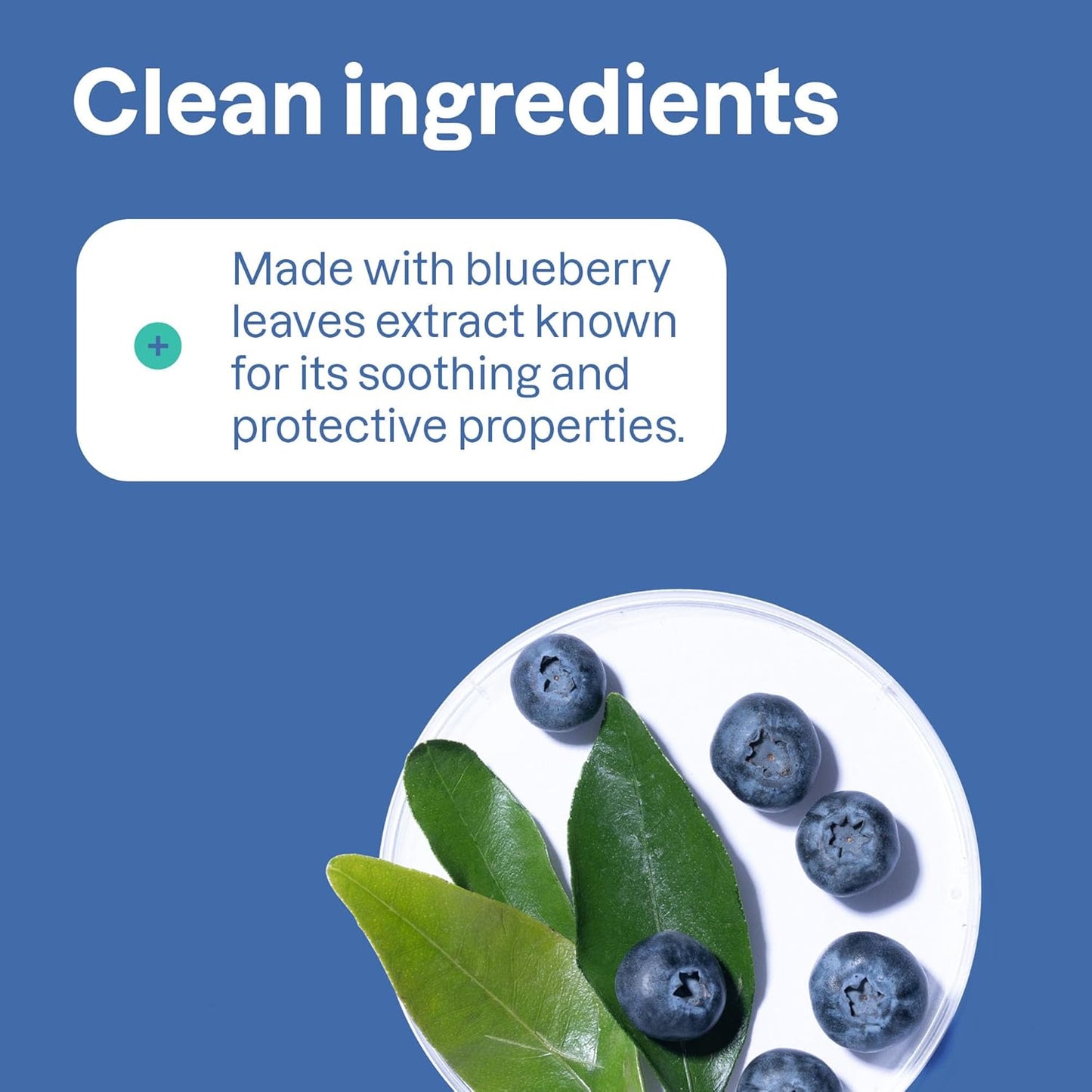 CONDITIONER, BLUEBERRY