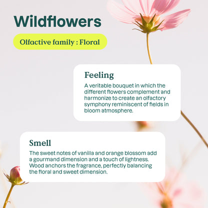 DISHWASHING LIQUID NATURE+ WILDFLOWERS