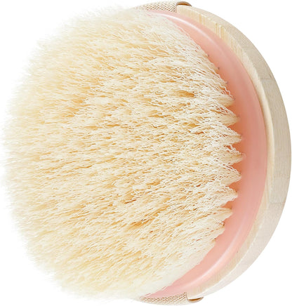 DRY BODY BRUSH