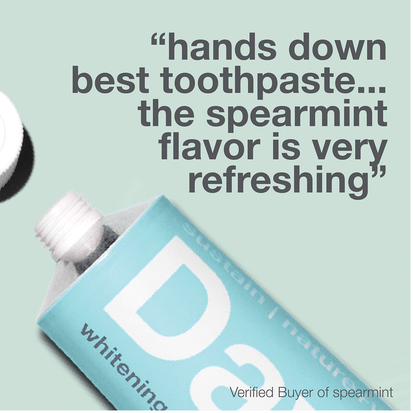 PREMIUM TOOTHPASTE - SPEARMINT