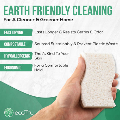 PLANT BASED MULTIPURPOSE SPONGE - 6 PACK