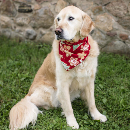 ORGANIC COTTON PAJAMAS - GINGERBREAD BAKE - 2 PIEZAS